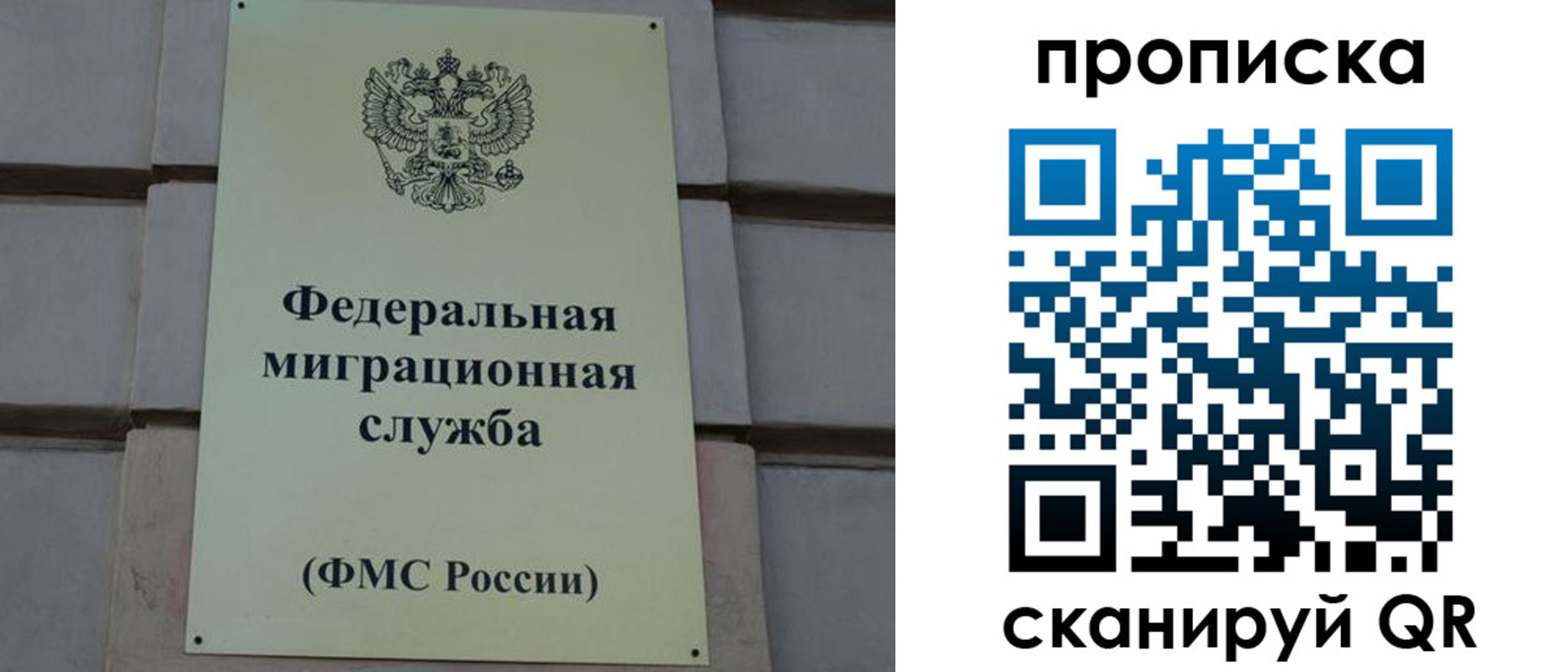 прописка поиск в Котельниче